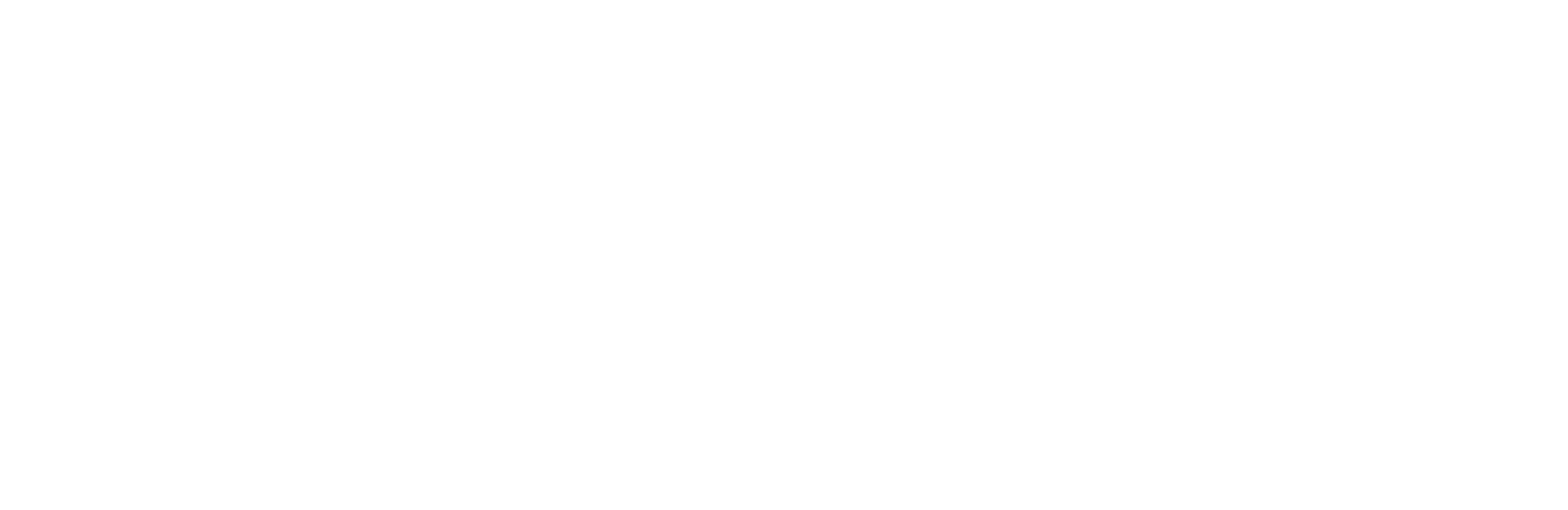 Webflow-white