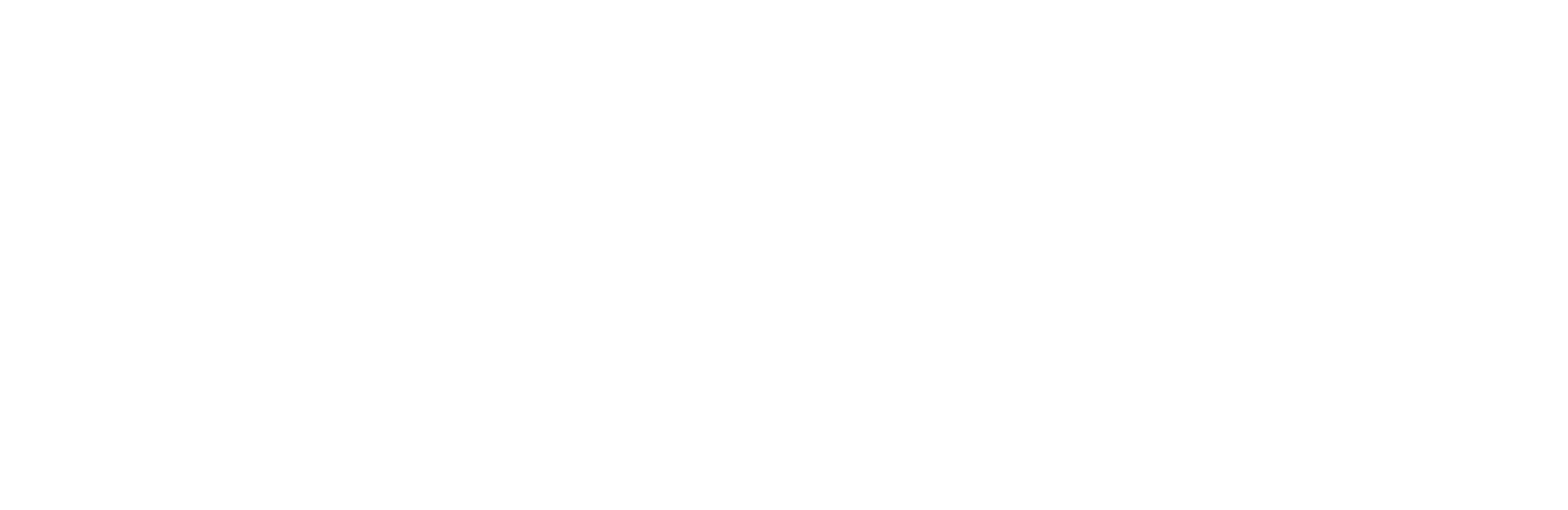 WordPress-white